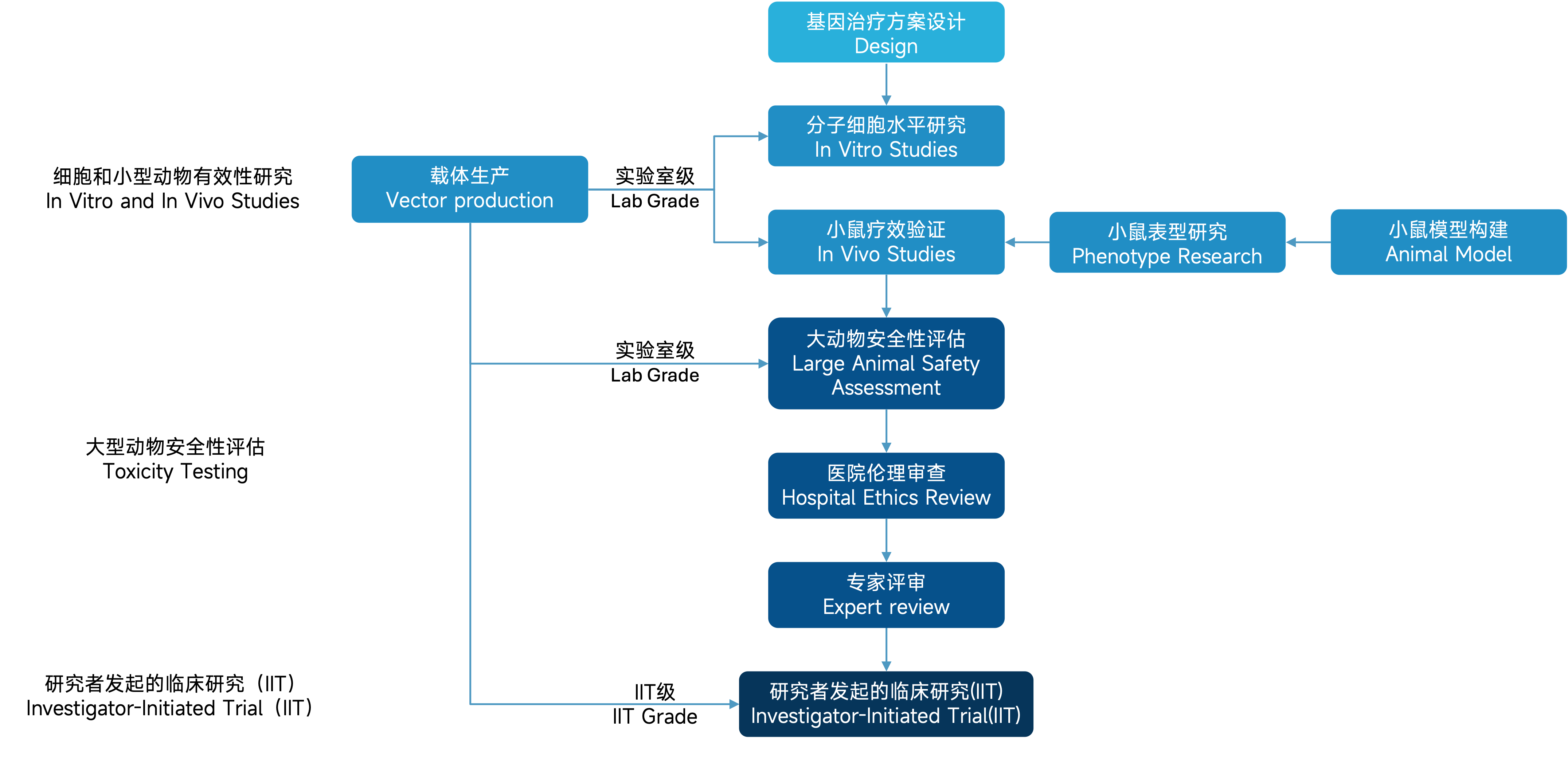 research pathway.png