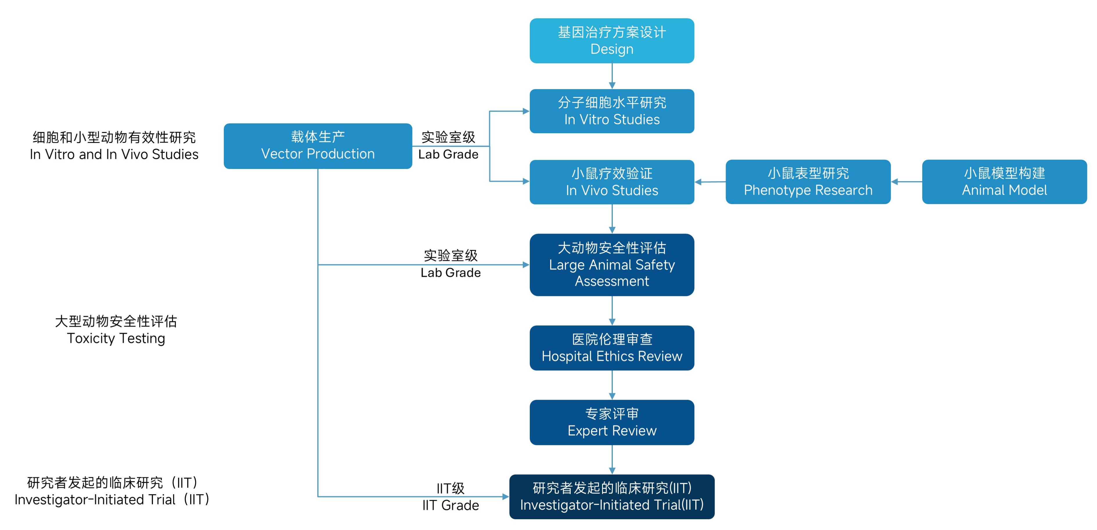 研究路径2.jpg